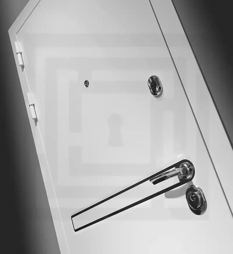 Товар Дверь Лайн WHITE DIS006239
