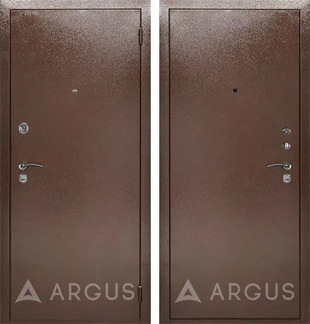 Дверь Аргус ДА-9 DIS00467